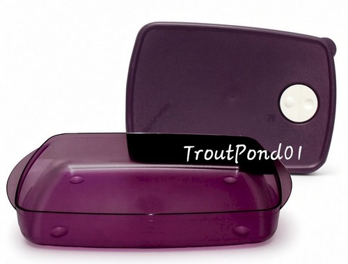 Tupperware rock serve lg - rock,