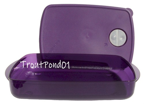 Tupperware rock serve lg - tupperware, n