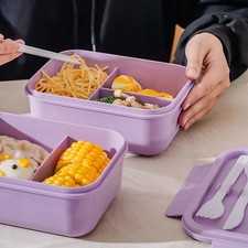 Violet Three-compartment