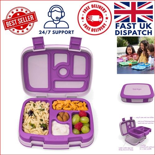 Vibrant purple compartment - vibrant, 5-compartment