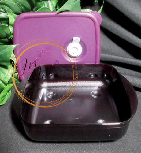 Tupperware new vent serve - new, 'n